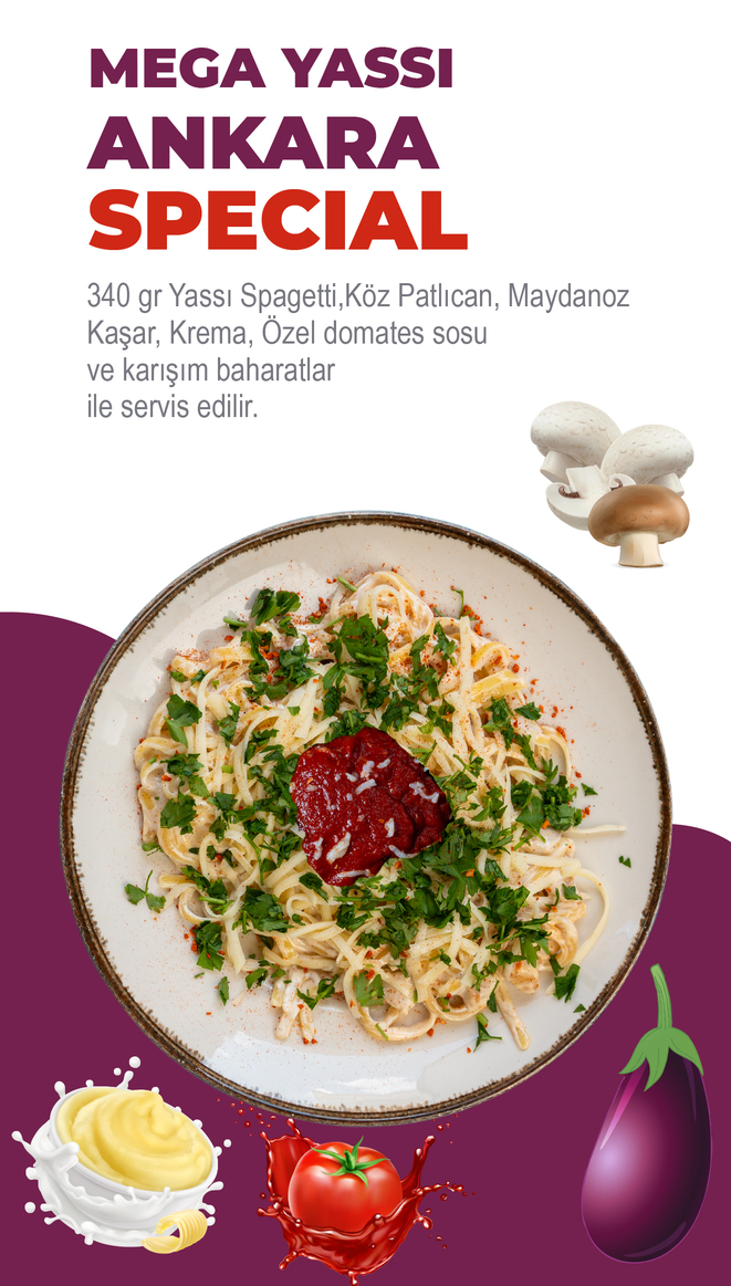 Mega Yassı Ürün 6