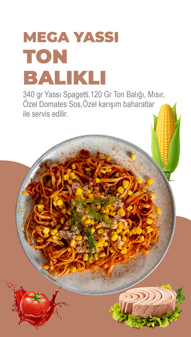 Mega Yassı Ürün 11